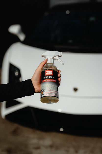 2B Performance Mc Fly Insektenentferner 500 ml – in der Hand vor einem Fahrzeug
